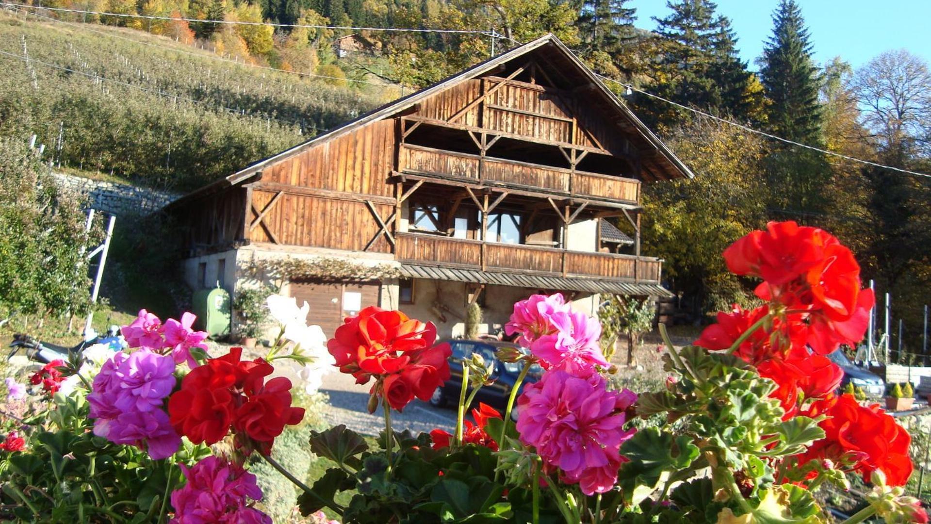 Zimmervermietung Groeberhof 思科纳 外观 照片