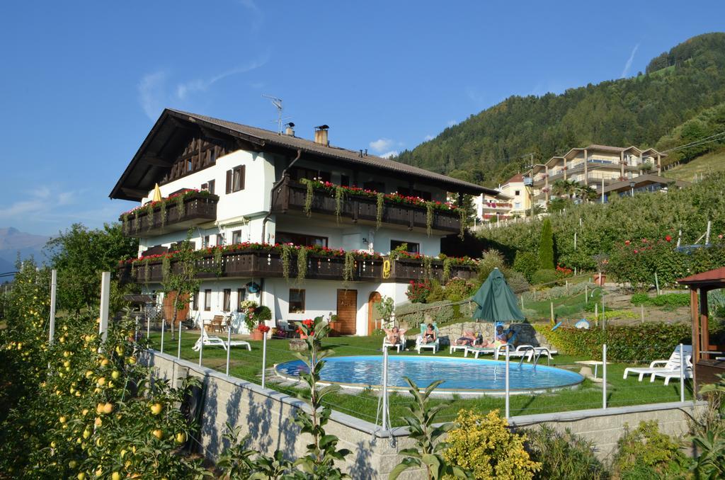 Zimmervermietung Groeberhof 思科纳 外观 照片