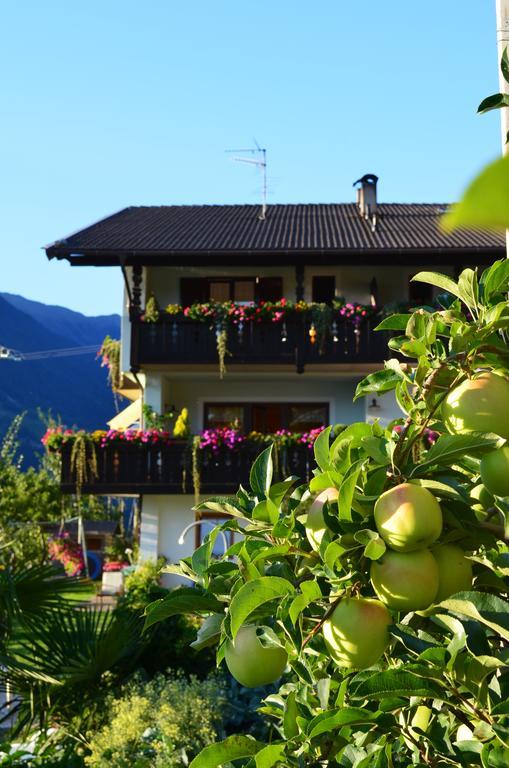 Zimmervermietung Groeberhof 思科纳 外观 照片